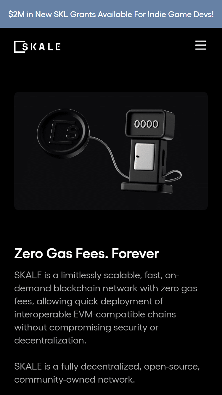 skale network screenshot