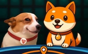 BABYDOGE