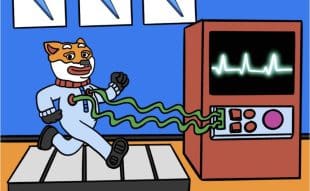 Can Bitcoin Hyper’s Presale Fuel a New Era of DeFi, NFTs, and Games on BTC