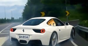 KIBSHI