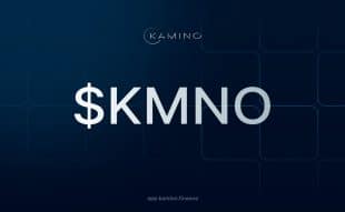 Kamino finance