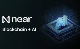Near Protocol