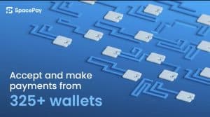 Pay with Crypto Anywhere - No New Hardware Needed Thanks to SpacePay