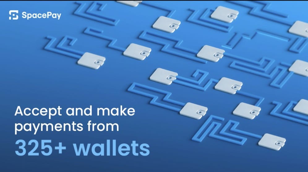 Pay with Crypto Anywhere - No New Hardware Needed Thanks to SpacePay