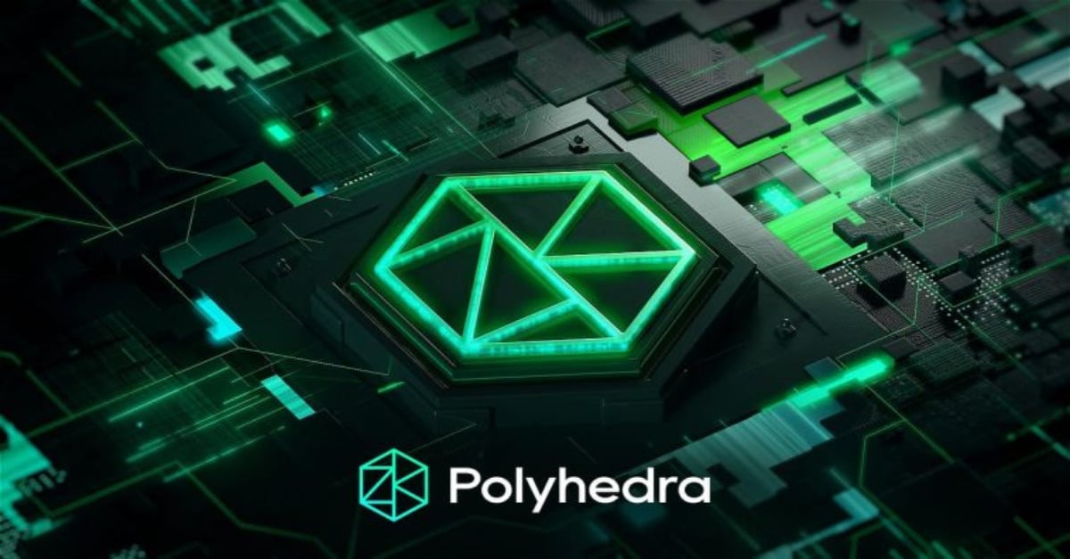 Polyhedra Network feature image
