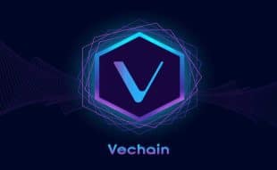 VeChain