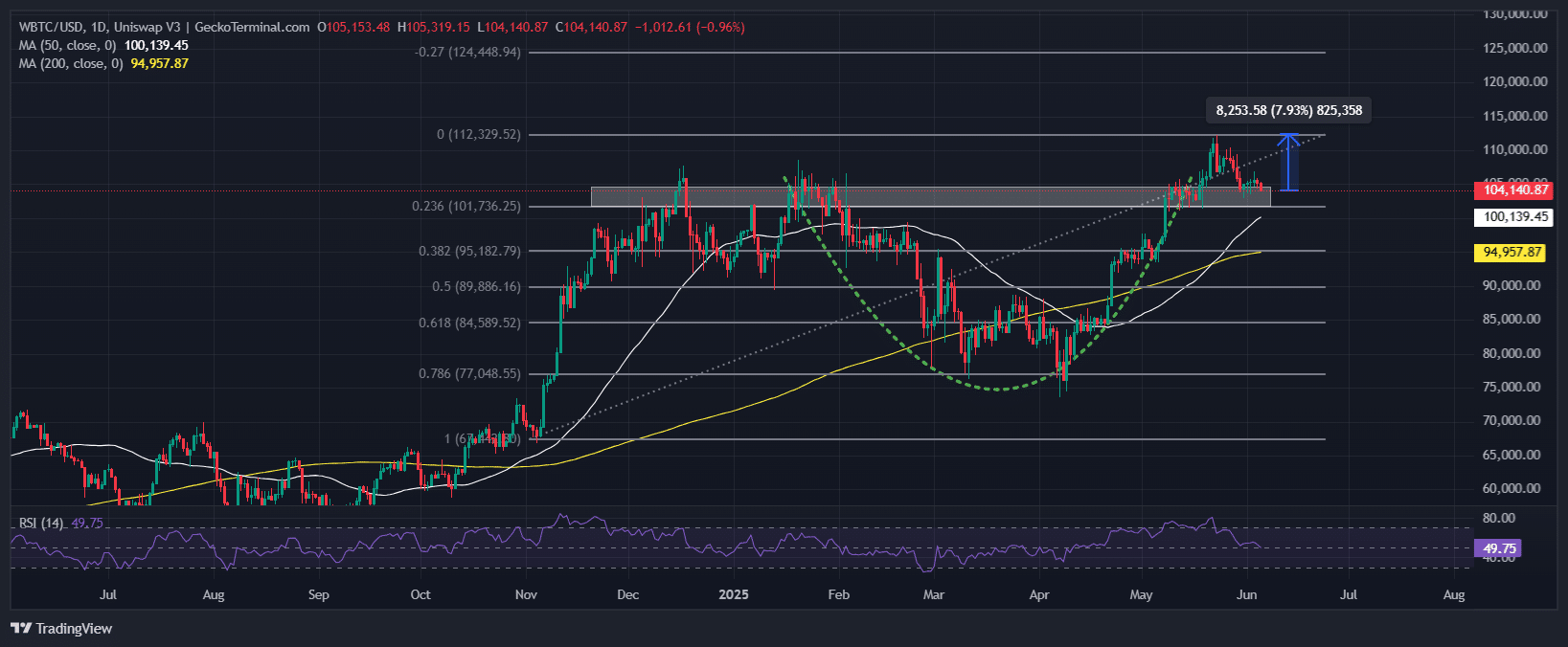 Bitcoin Price Chart Analysis Source: GeckoTerminal