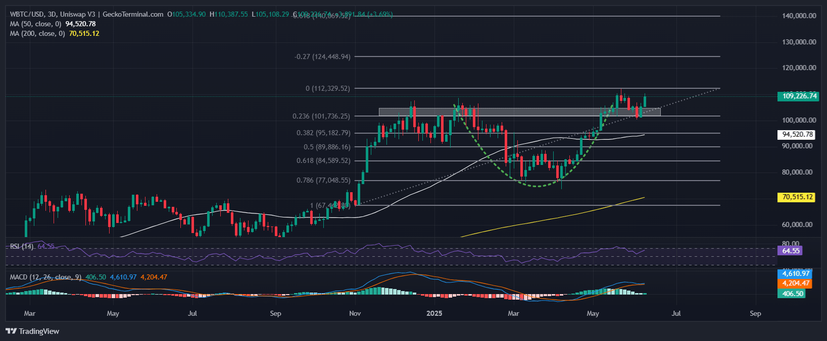 Bitcoin Price Chart Analysis Source: GeckoTerminal