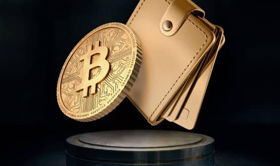 Bitcoin coin and crypto wallet