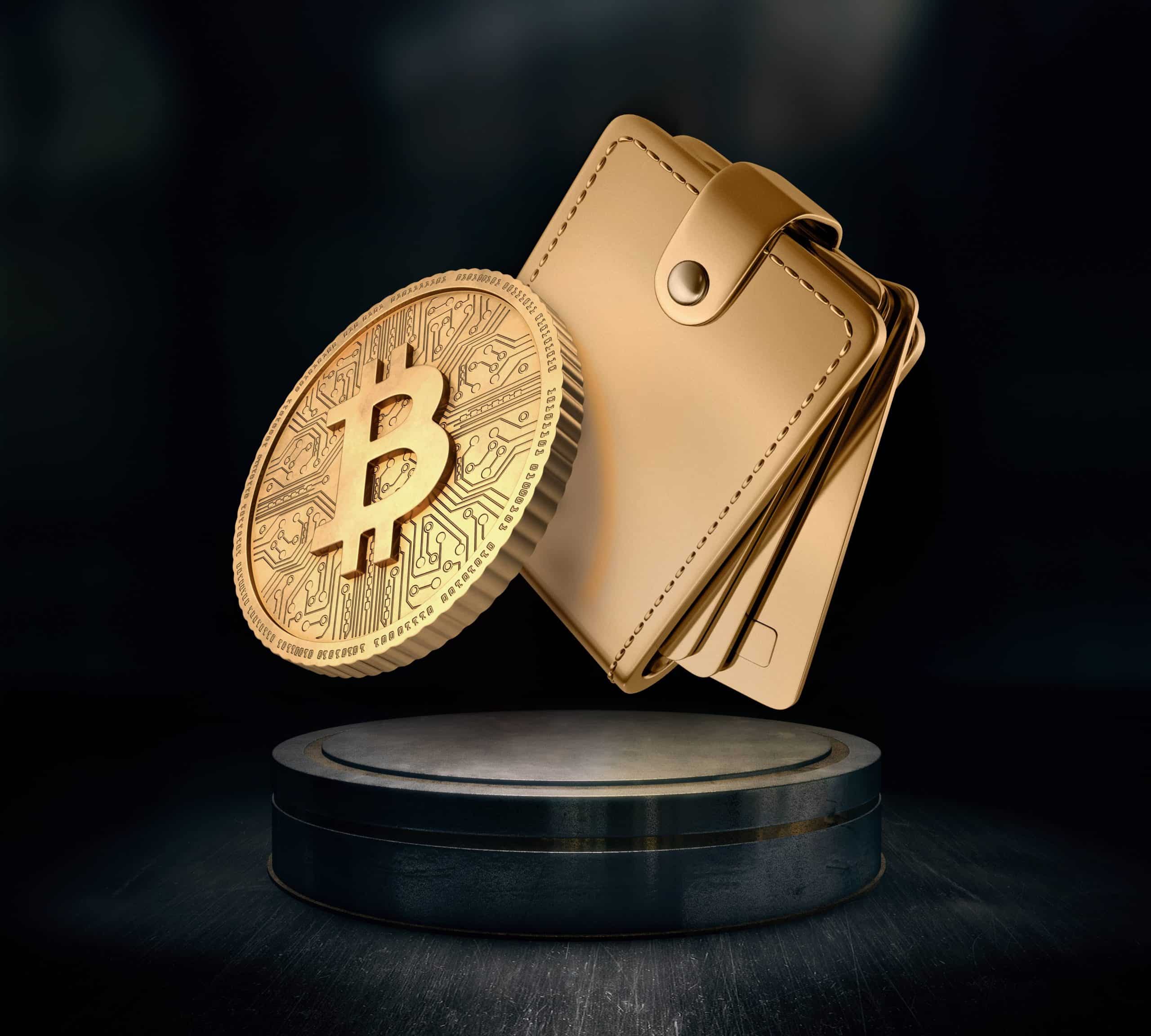 Bitcoin coin and crypto wallet