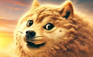 BABYDOGE