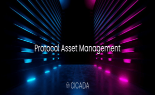 Cicada finance