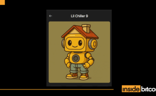 Lil Chiller NFT Collection_optimized
