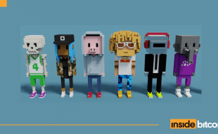 Meebits NFT Series_optimized