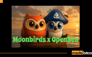 Moonbirds vs OpenSea_optimized