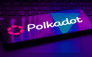 Polkadot