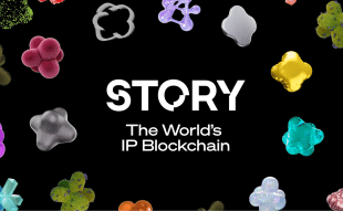 Story Network