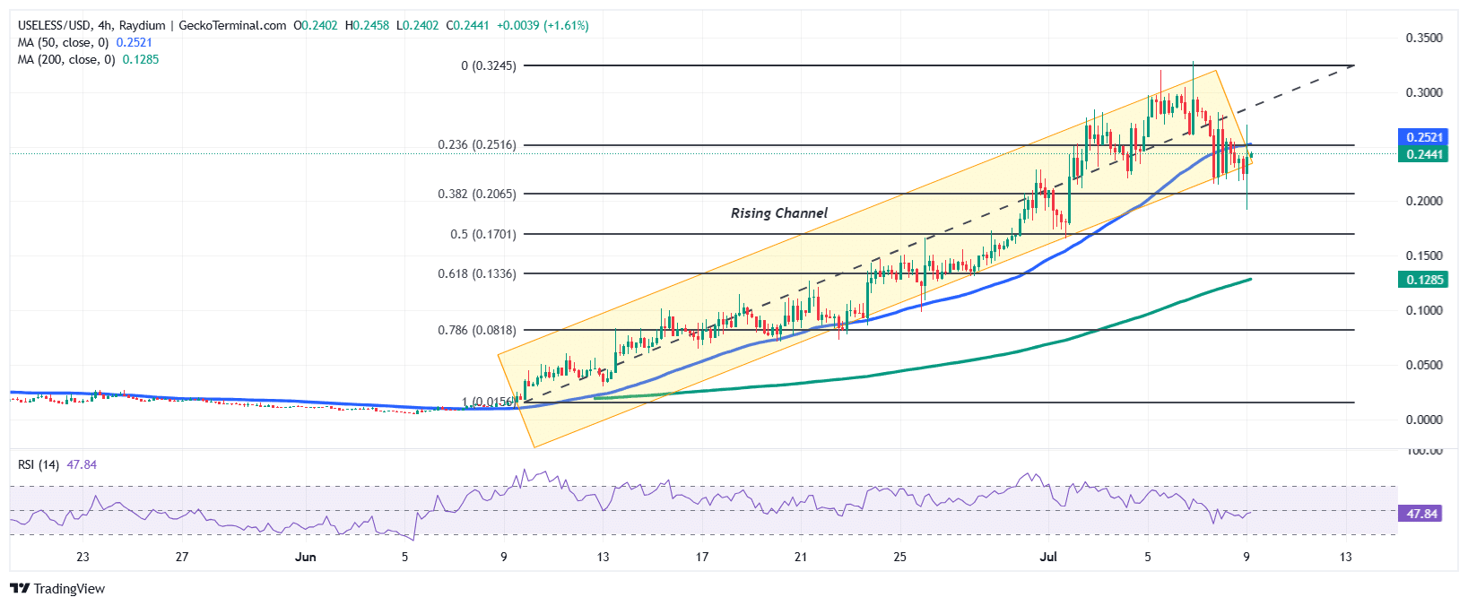 Useless Coin Price Chart Analysis Source: GeckoTerminal
