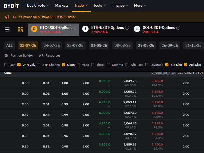 best crypto options platforms Bybit