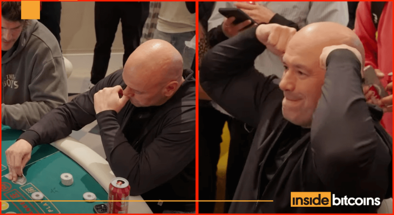 dana white wins millions at baccarat