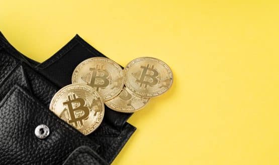 D'CENT Wallet vs Ledger Nano X