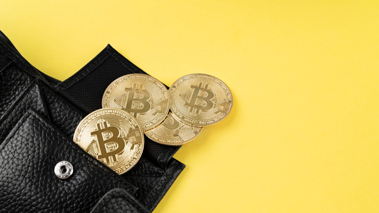 D'CENT Wallet vs Ledger Nano X