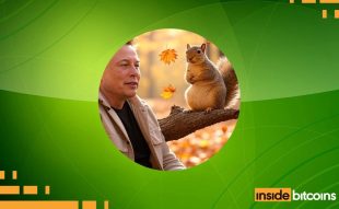 Peanut The Squirrel Price Prediction: As Elon Musk Rants Over PNUT Death Vs Epstein Client Inaction, Traders Buy This Parabolic ICO