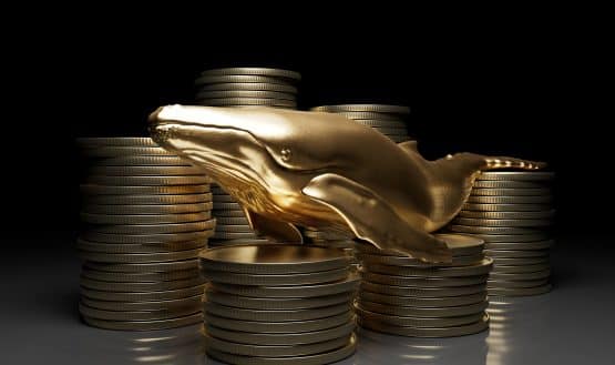 Golden whale on crypto coins