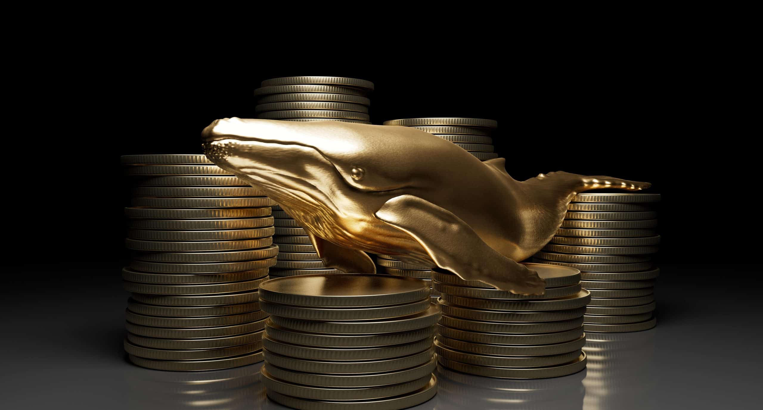 Golden whale on crypto coins