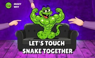 snaky way let's touch snake together