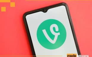 vine price