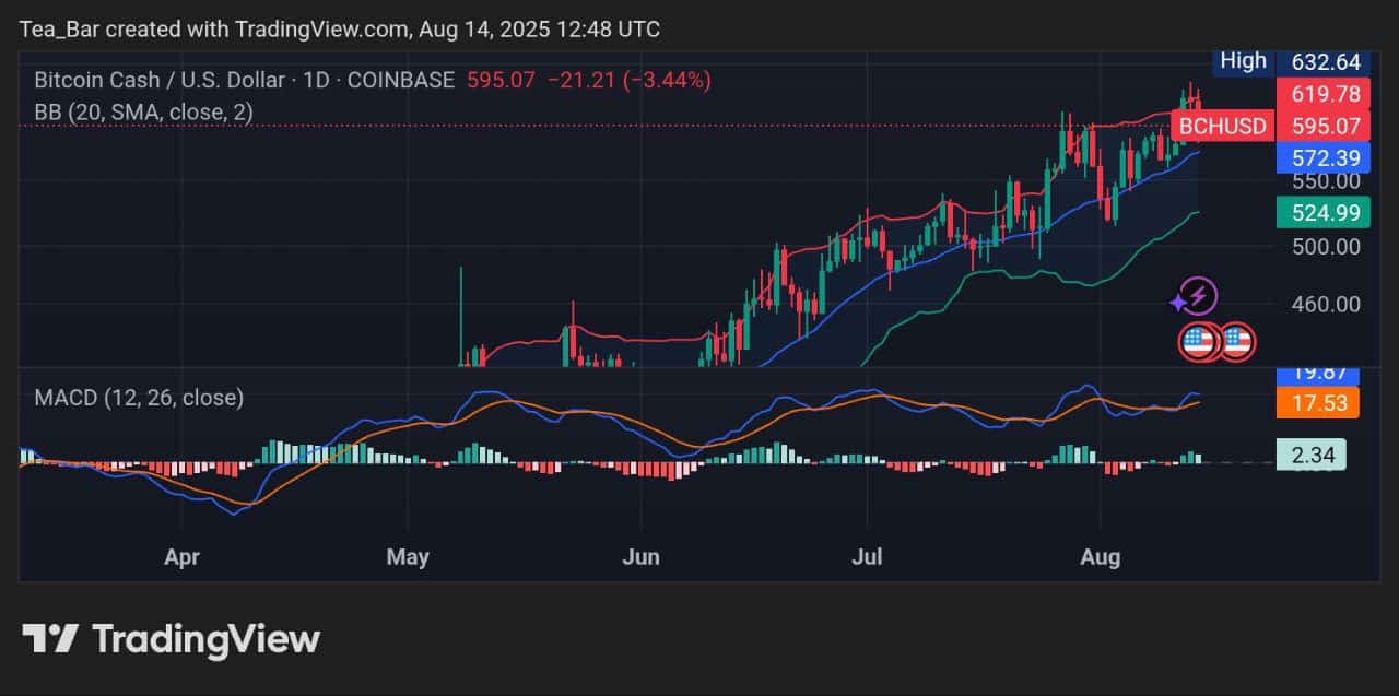 Bitcoin Cash Price Overview for August 14 &ndash; BCH Trend Analysis