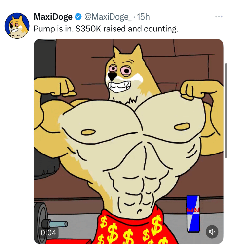 MAXI Tweet