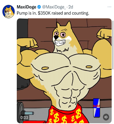 MAXI Tweet