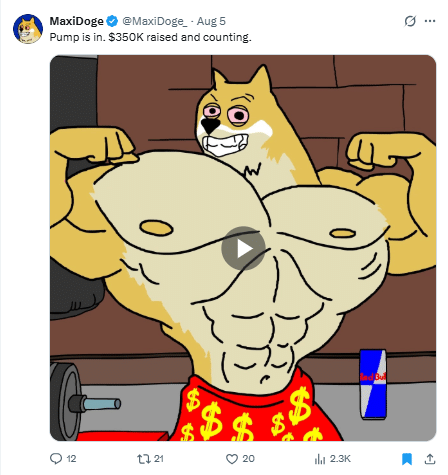 Maxi doge tweet