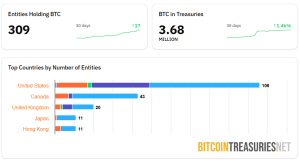 BTC treasury market overview