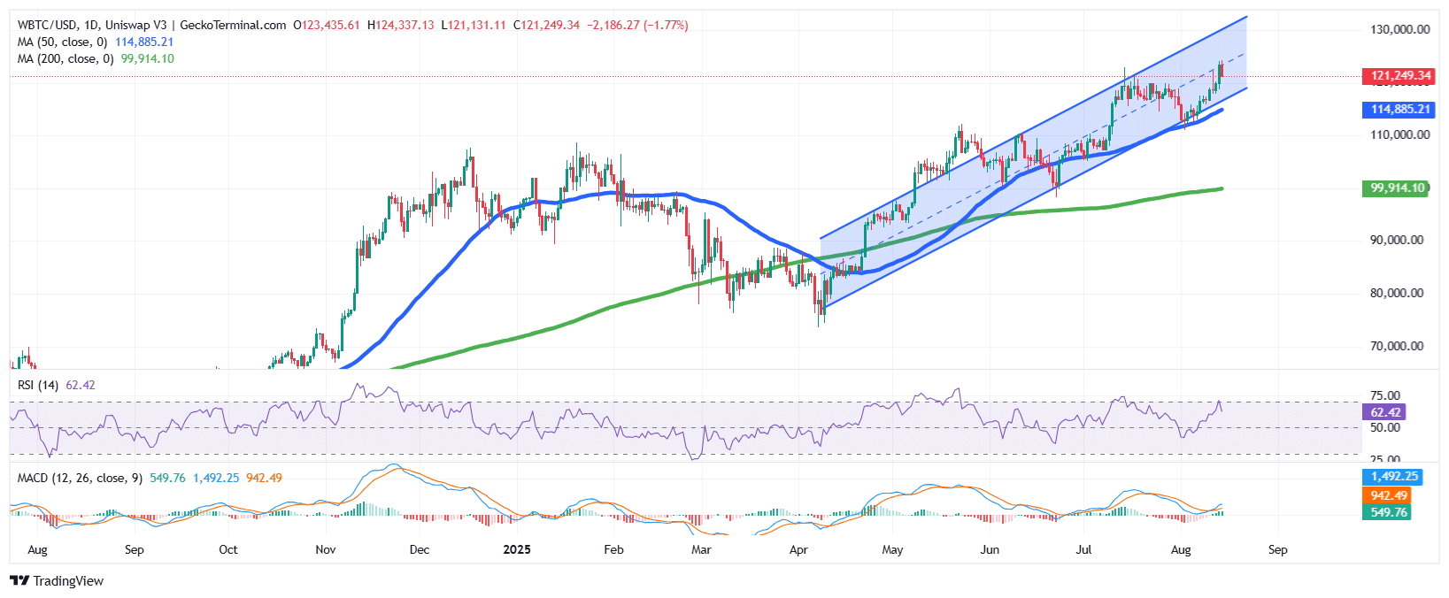 Bitcoin Price Chart Analysis Source: GeckoTerminal
