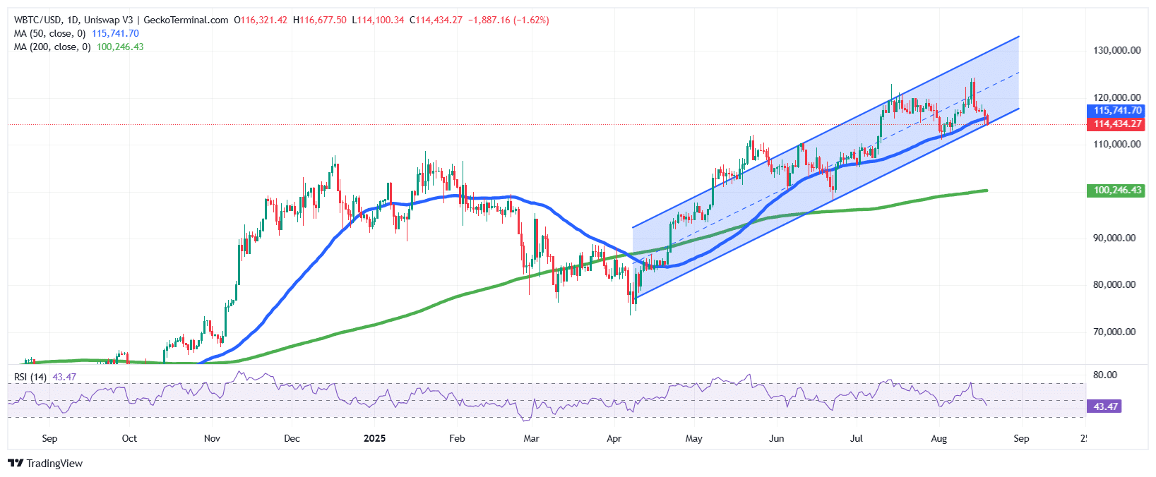 Bitcoin Price Chart Analysis Source: GeckoTerminal