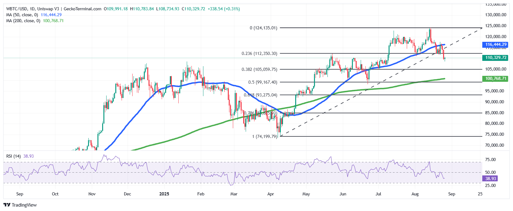 BTC/USD Chart Analysis Source: GeckoTerminal