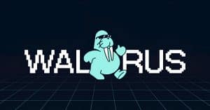 Walrus
