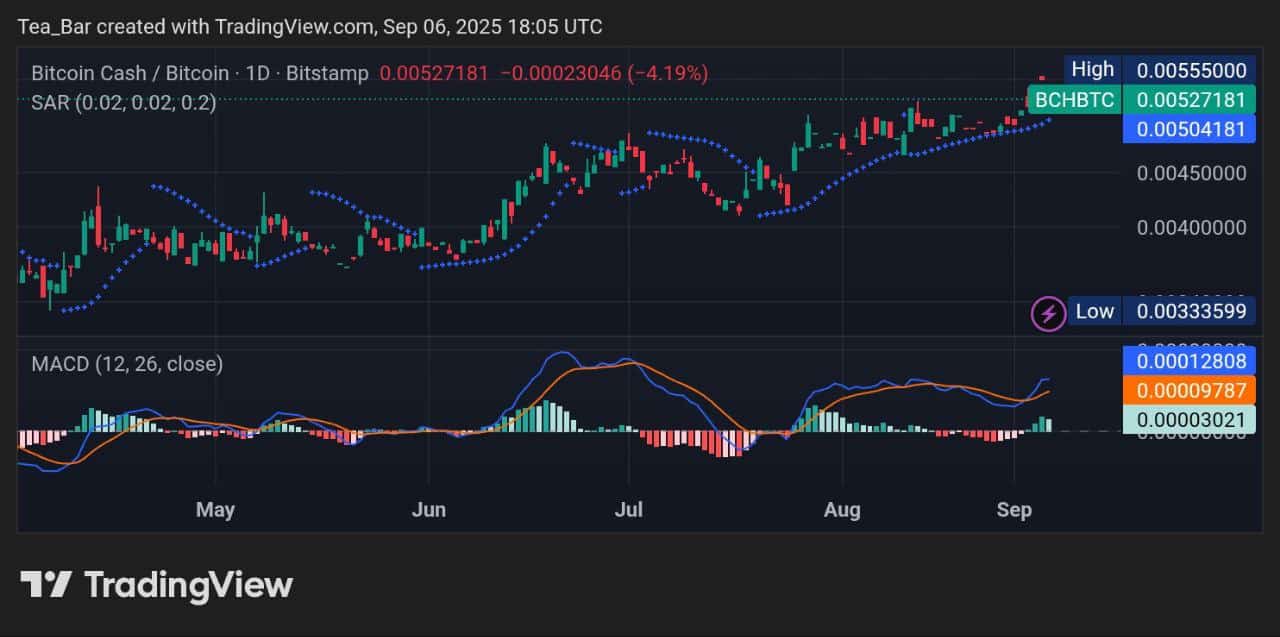 Bitcoin Cash Price Overview for September 6 – BCH Trend Analysis