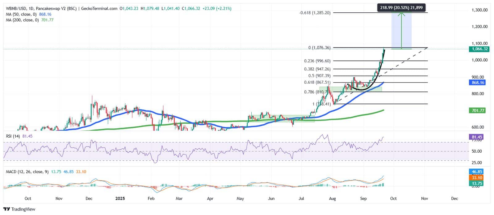 BNB Value Soars To New All-Time Excessive, Flips Intel By Market Cap