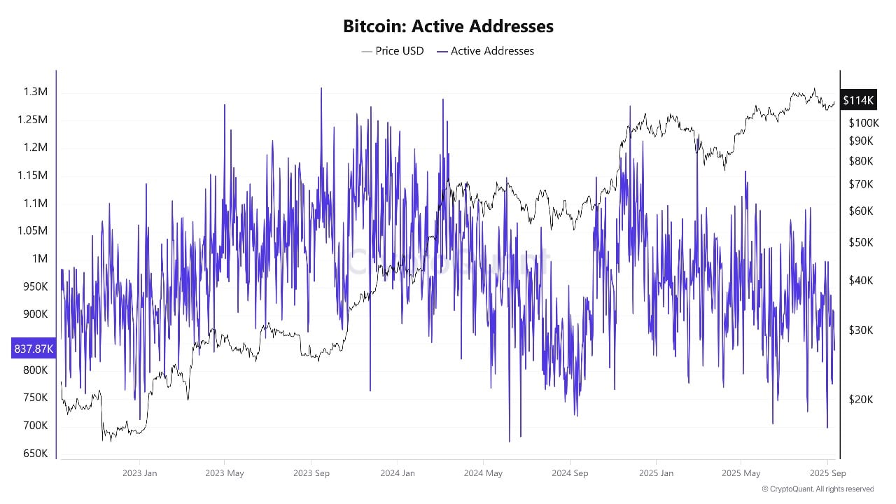 Bitcoin Worth Surges Previous 4K Forward of Key CPI Inflation Knowledge