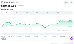 Bitcoin's Path To 0K Blocked By Whales, David Bailey Says