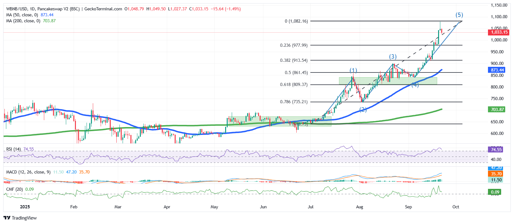 BNB Value Slides After New ATH As CZ Hints At New Bull Market