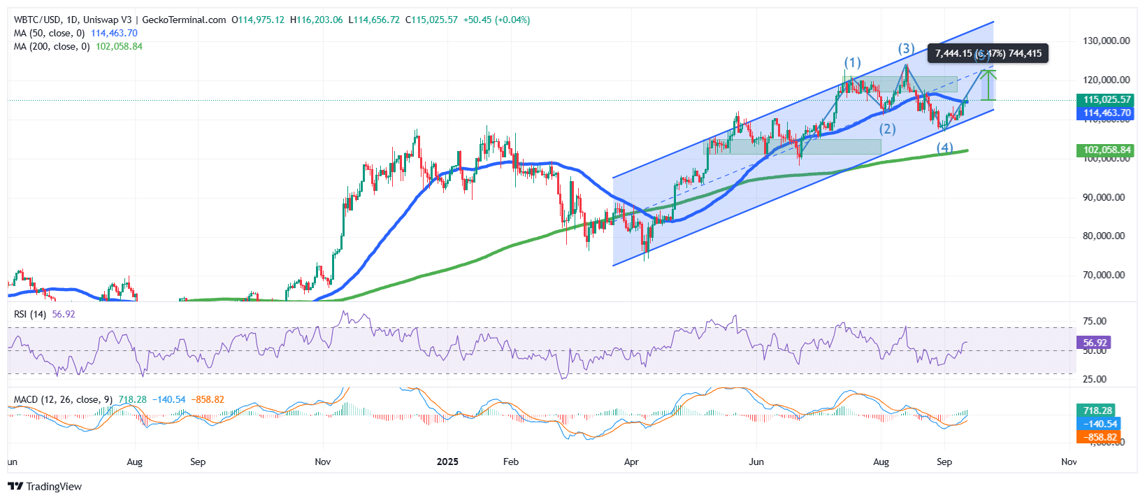 Bitcoin Worth Hits 5K As 0M Pours Into Spot ETFs