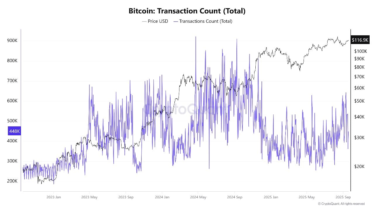 Bitcoin Falls As Trump BTC Statue Seems In Washington DC