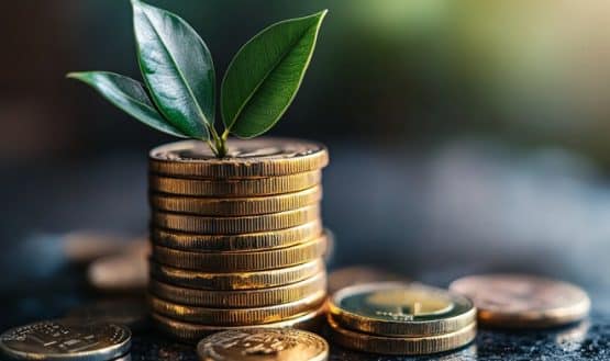 Earn Yield on Stablecoins