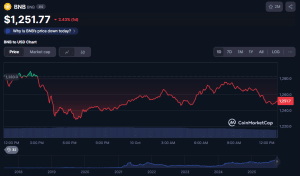BNB Meme Cash Slide As CZ Says Tweets Are Not Endorsements