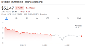 BitMine share price